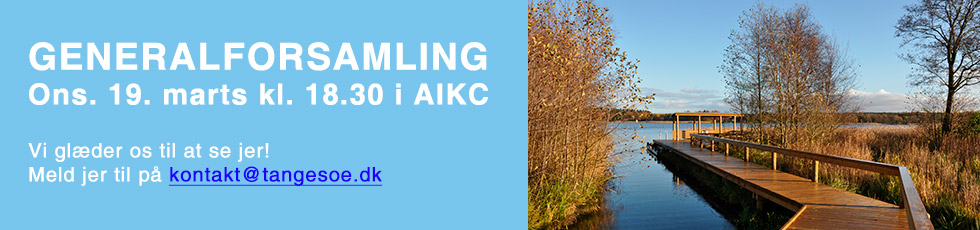 Generalforsamling